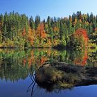 Herbst am Crestasee