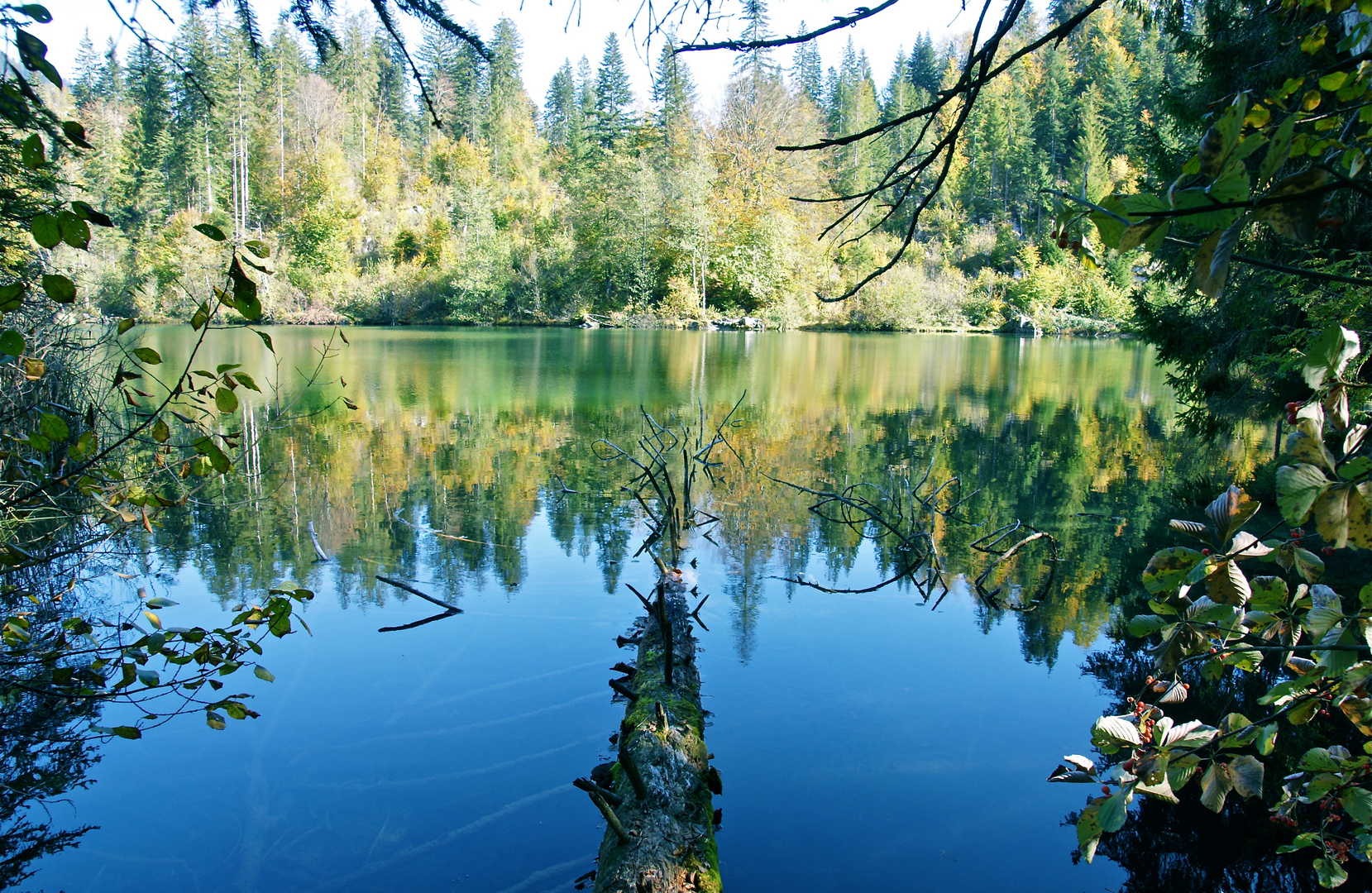 Herbst am Crestasee