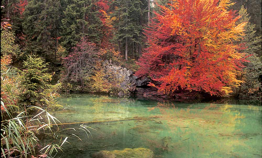 Herbst am Crestasee