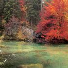 Herbst am Crestasee
