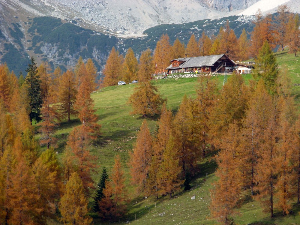 Herbst am Dachstein