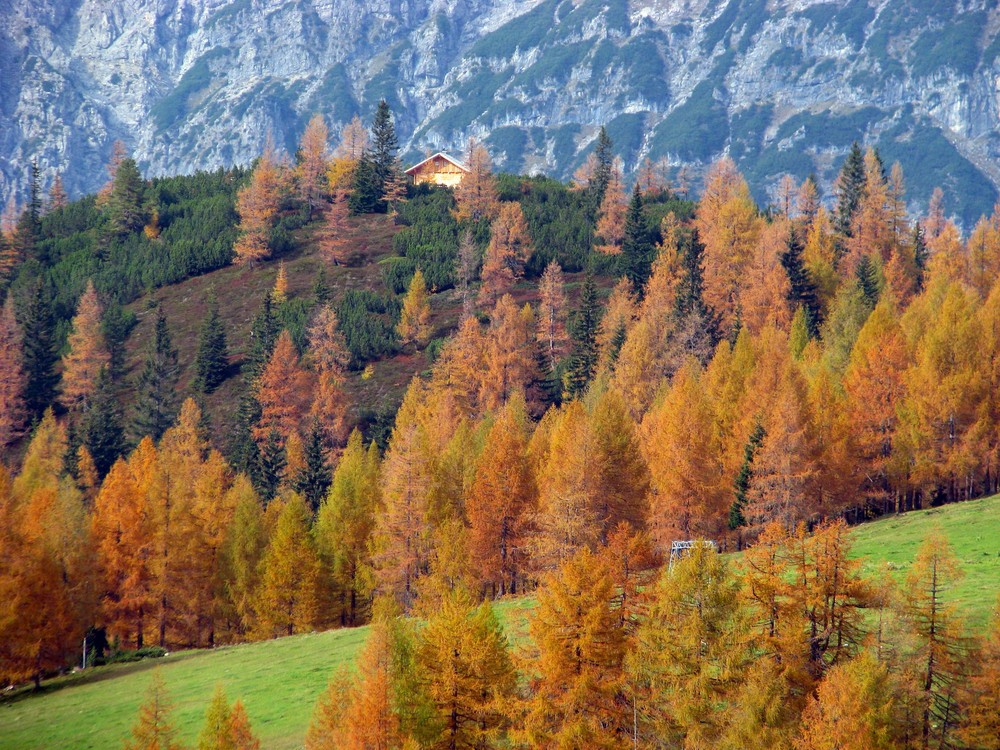 Herbst am Dachstein II