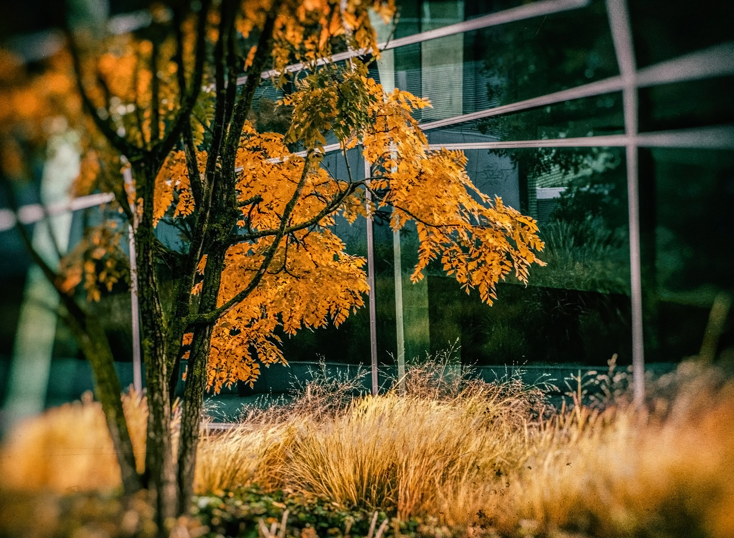Herbst am darmstadtium