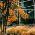 Herbst am darmstadtium