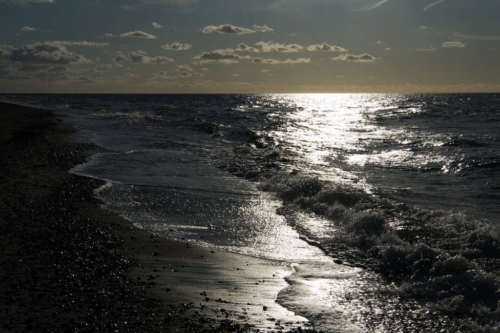 Herbst am Darsser Weststrand 2