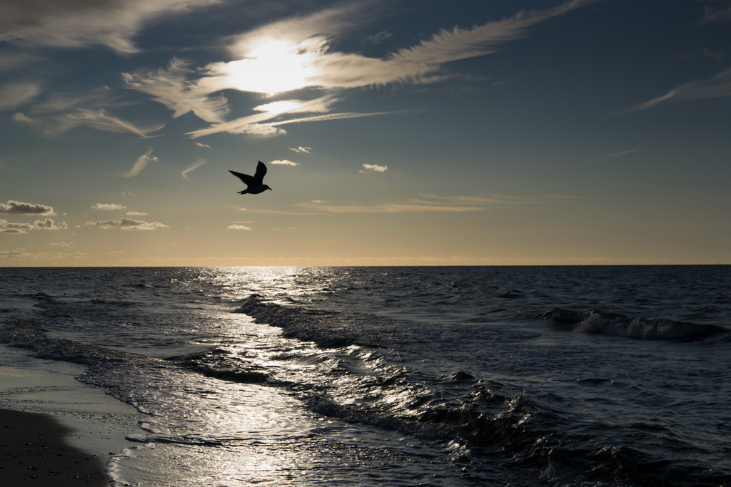 Herbst am Darsser Weststrand