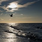 Herbst am Darsser Weststrand