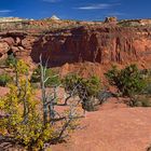 Herbst am Dead Horse Point