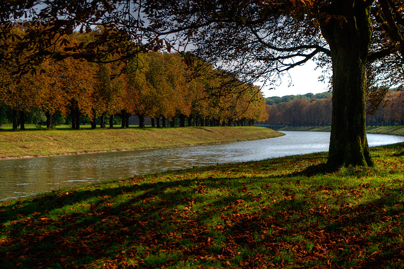 Herbst am Decksteiner Weiher