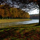 Herbst am Decksteiner Weiher