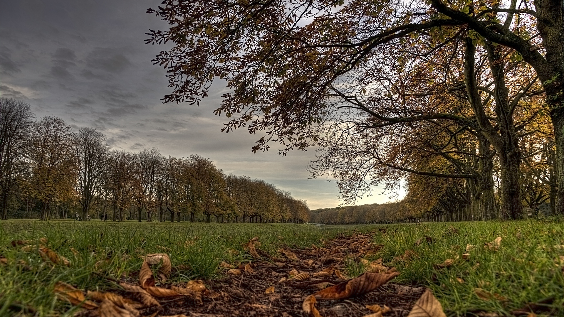 Herbst am Decksteiner Weiher in Köln