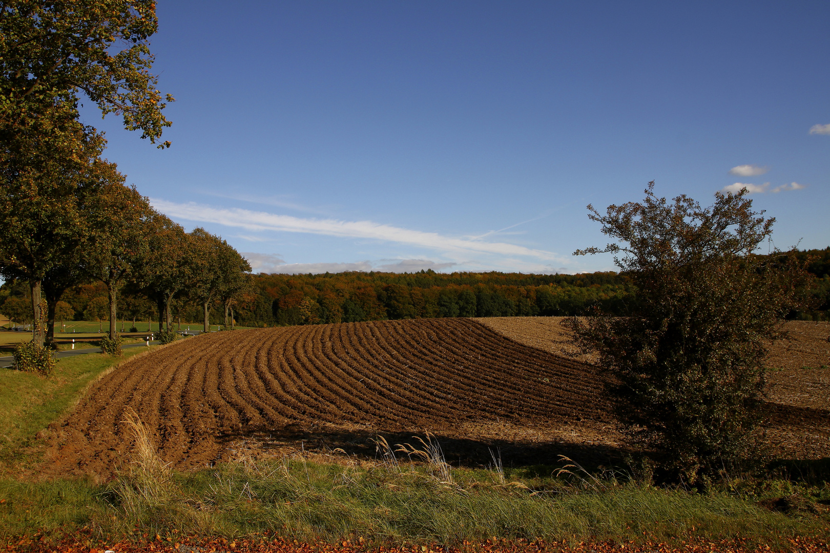 Herbst am Deister