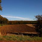 Herbst am Deister