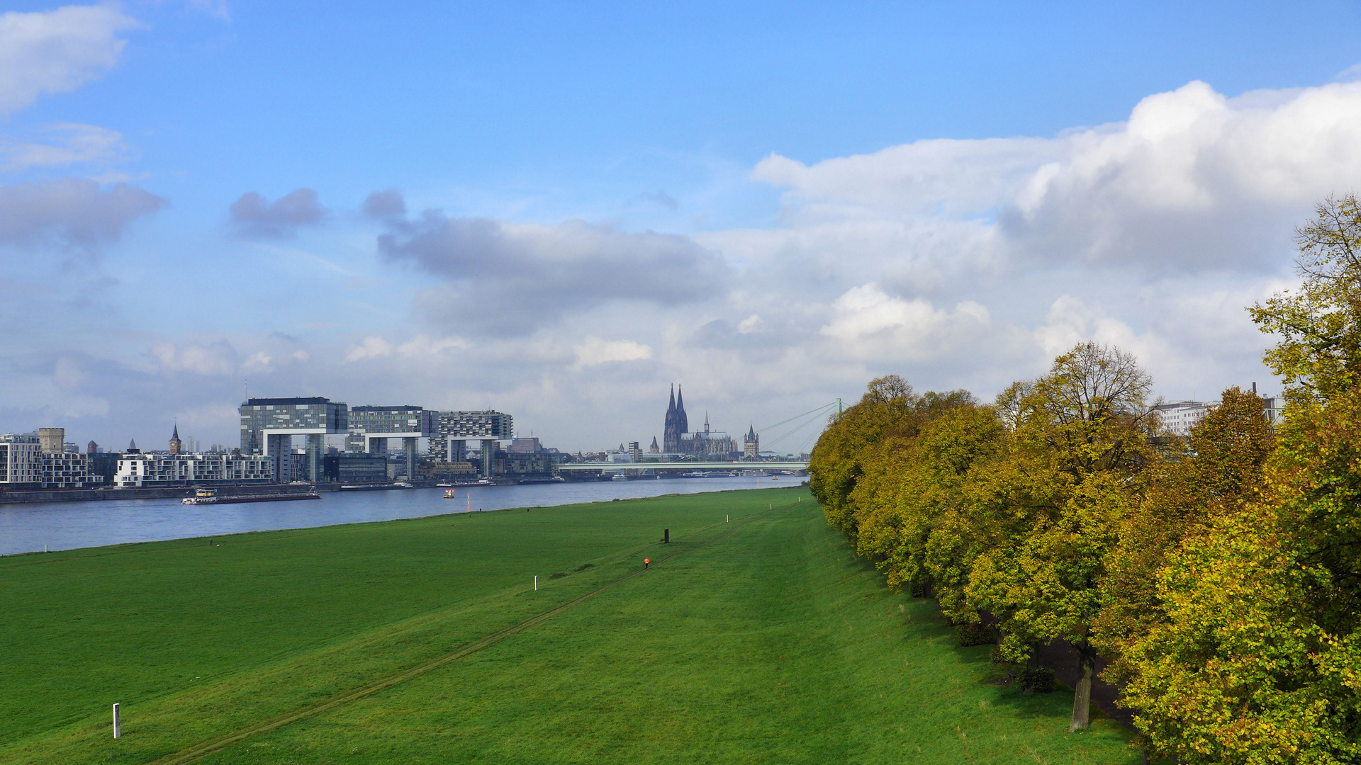 Herbst am Deutzer Rheinufer