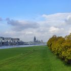 Herbst am Deutzer Rheinufer