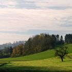 Herbst am Dinkelberg