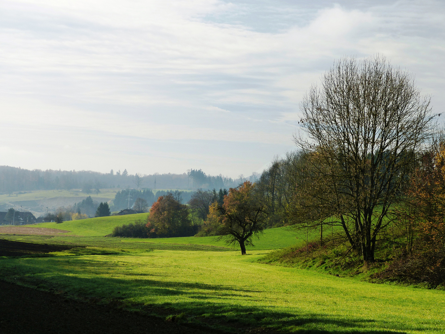 Herbst am Dinkelberg