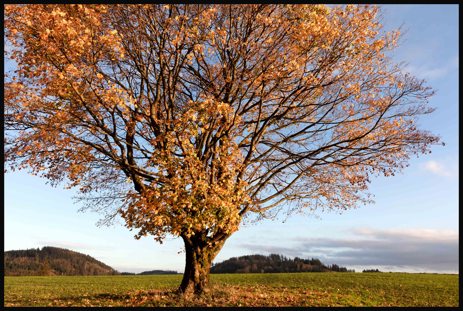 " Herbst am Döbraberg/Oberfranken "