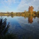 Herbst am Dolgemoster Moor