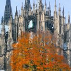 Herbst am Dom