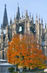 Herbst am Dom