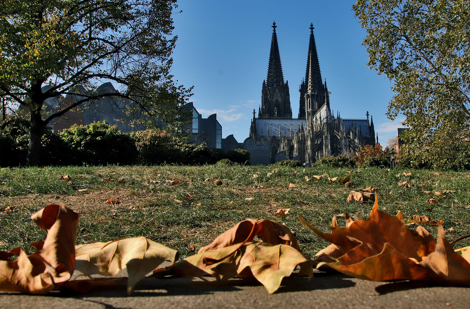 Herbst am Dom....