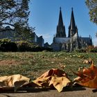 Herbst am Dom....