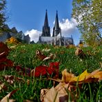 Herbst am Dom...