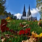 Herbst am Dom....