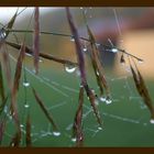 Herbst am Dorf