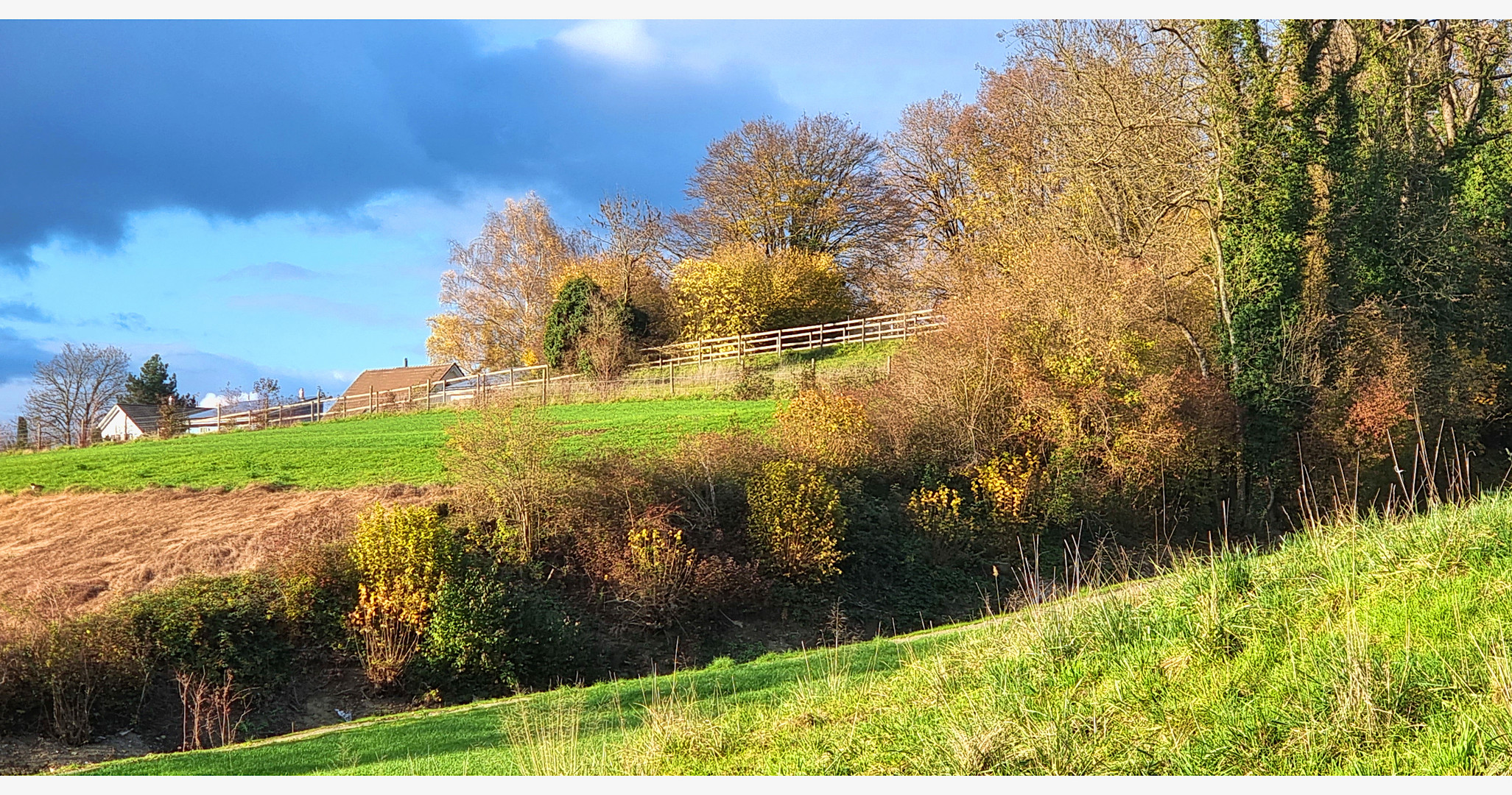 Herbst am Dorfrand