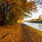 [ Herbst am Dortmund-Ems-Kanal 2 ]