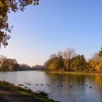 [ Herbst am Dortmund-Ems-Kanal 3 ]