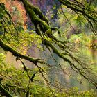 Herbst am Doubs