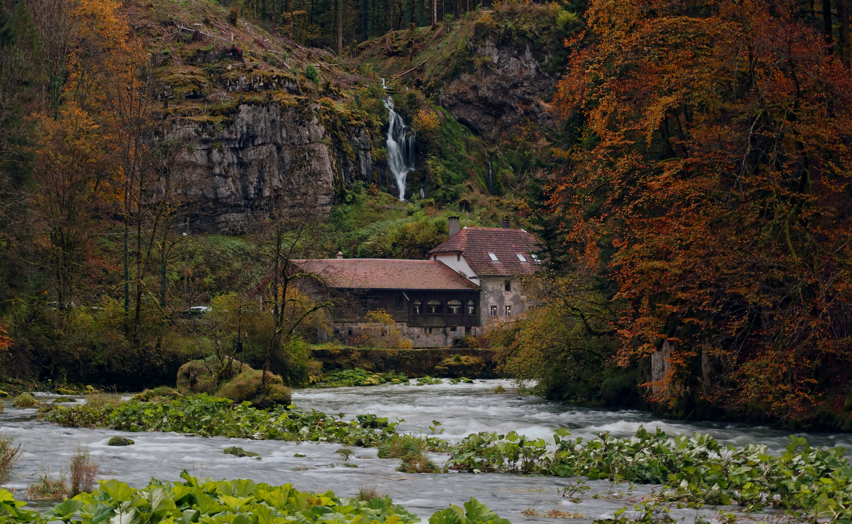 Herbst am Doubs (Jura, Schweiz)