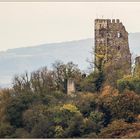 herbst am drachenfels.....