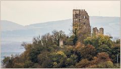 herbst am drachenfels.....