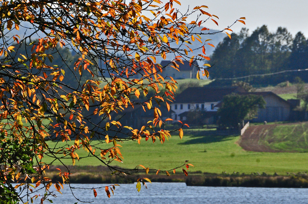 Herbst am Drachensee bei Furth im Wald