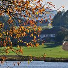 Herbst am Drachensee bei Furth im Wald