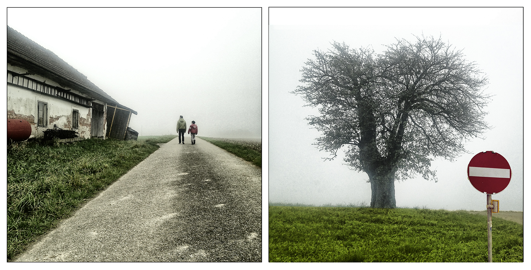 Herbst am Dürnberg.