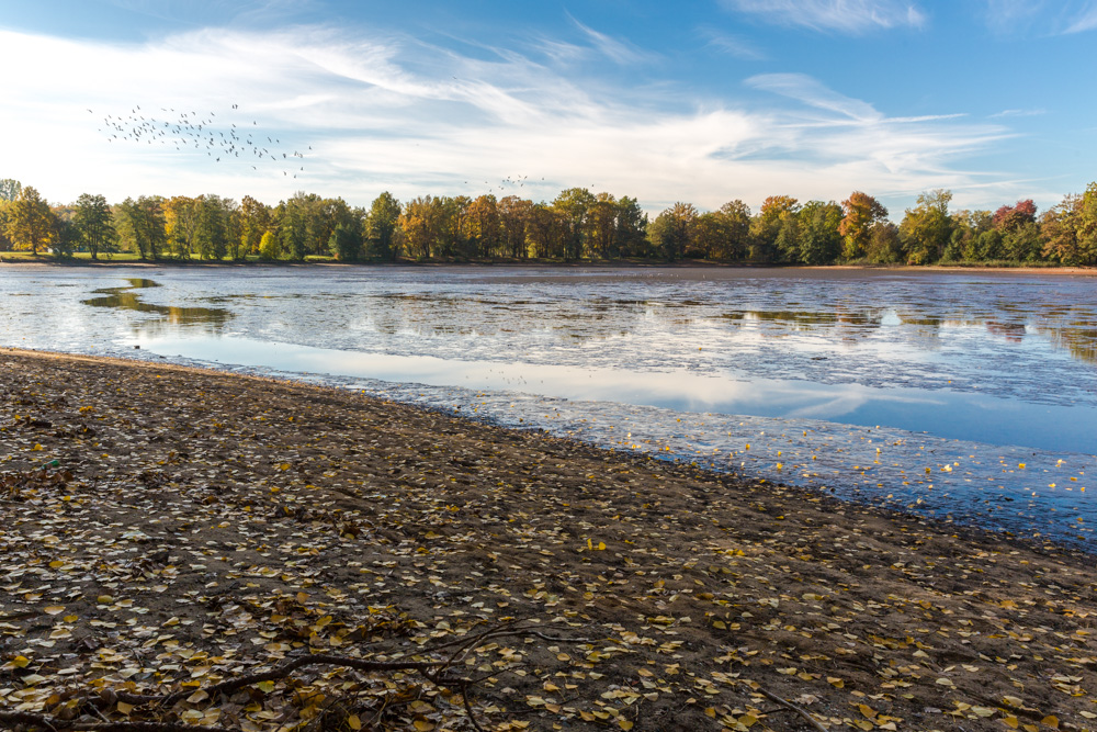 Herbst am Dutzendteich