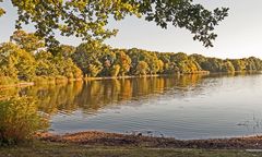 Herbst am Dutzendteich