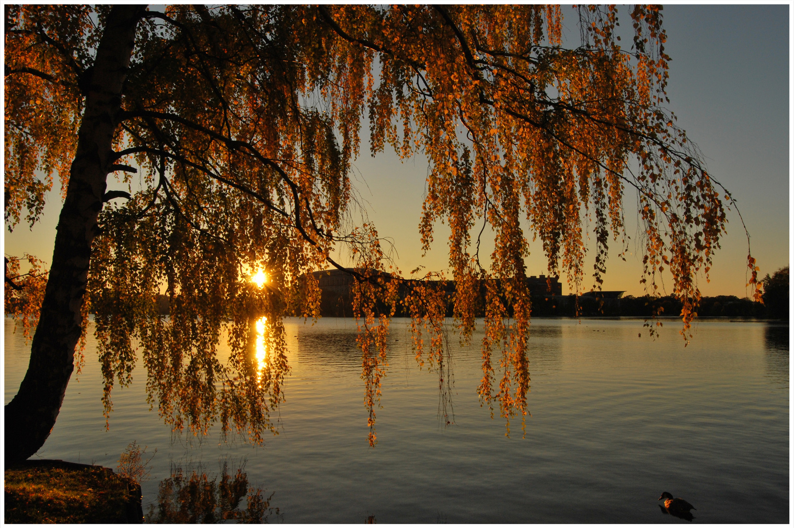 Herbst am Dutzendteich...