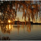 Herbst am Dutzendteich...