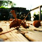 Herbst am Eagle Lake