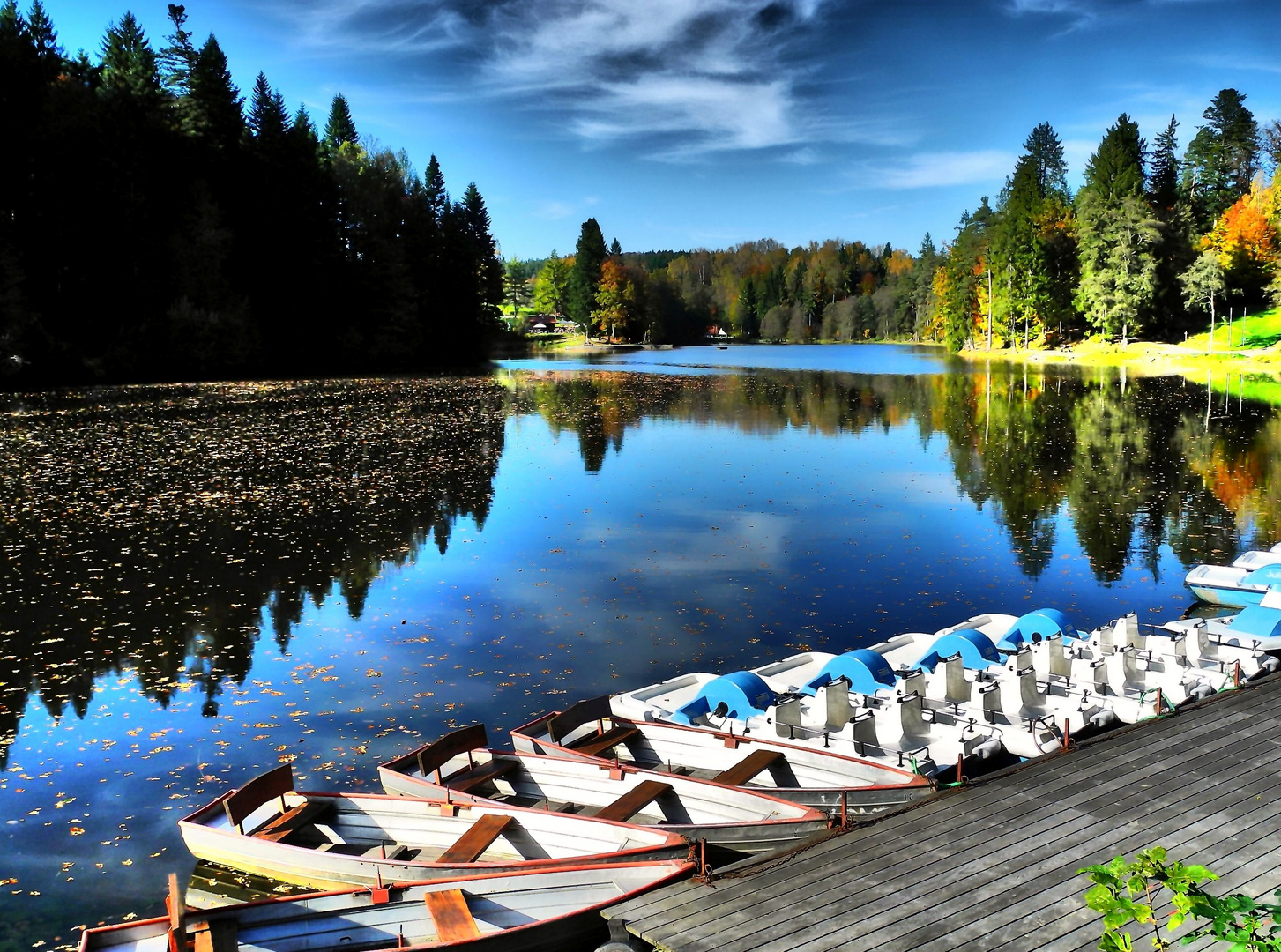 Herbst am Ebnisee