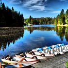 Herbst am Ebnisee