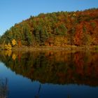 Herbst am Edersee