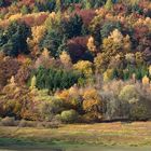 Herbst am Edersee