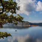 Herbst am Edersee